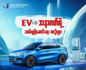 About Electric Vehicles