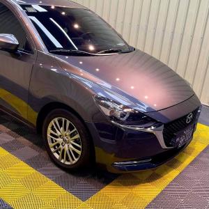 G4 vehicle Protection Service